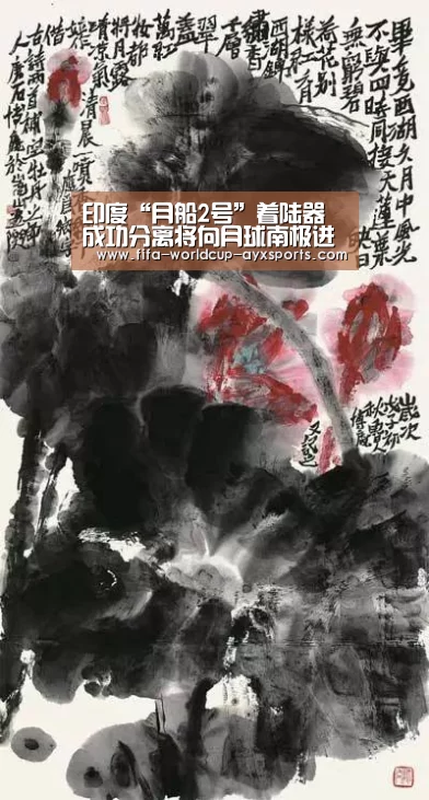 印度“月船2号”着陆器成功分离将向月球南极进发-爱游戏官网(图2) 爱游戏体育直播